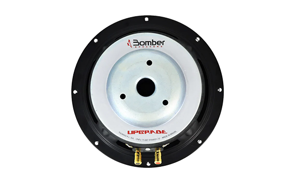 SUBWOOFER 8" 400W  UPGRADE 400 W 1.04.154 - 4 OHMS - Imagen 5