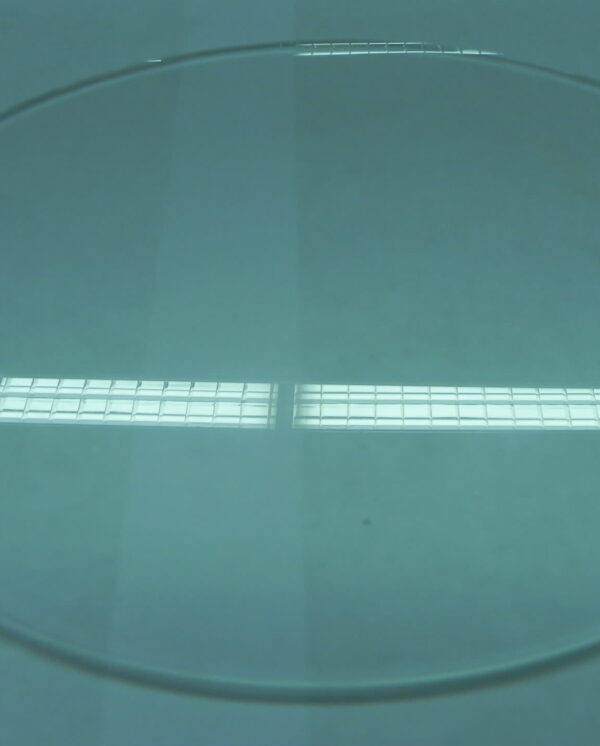 Rayvac - Imagen 1