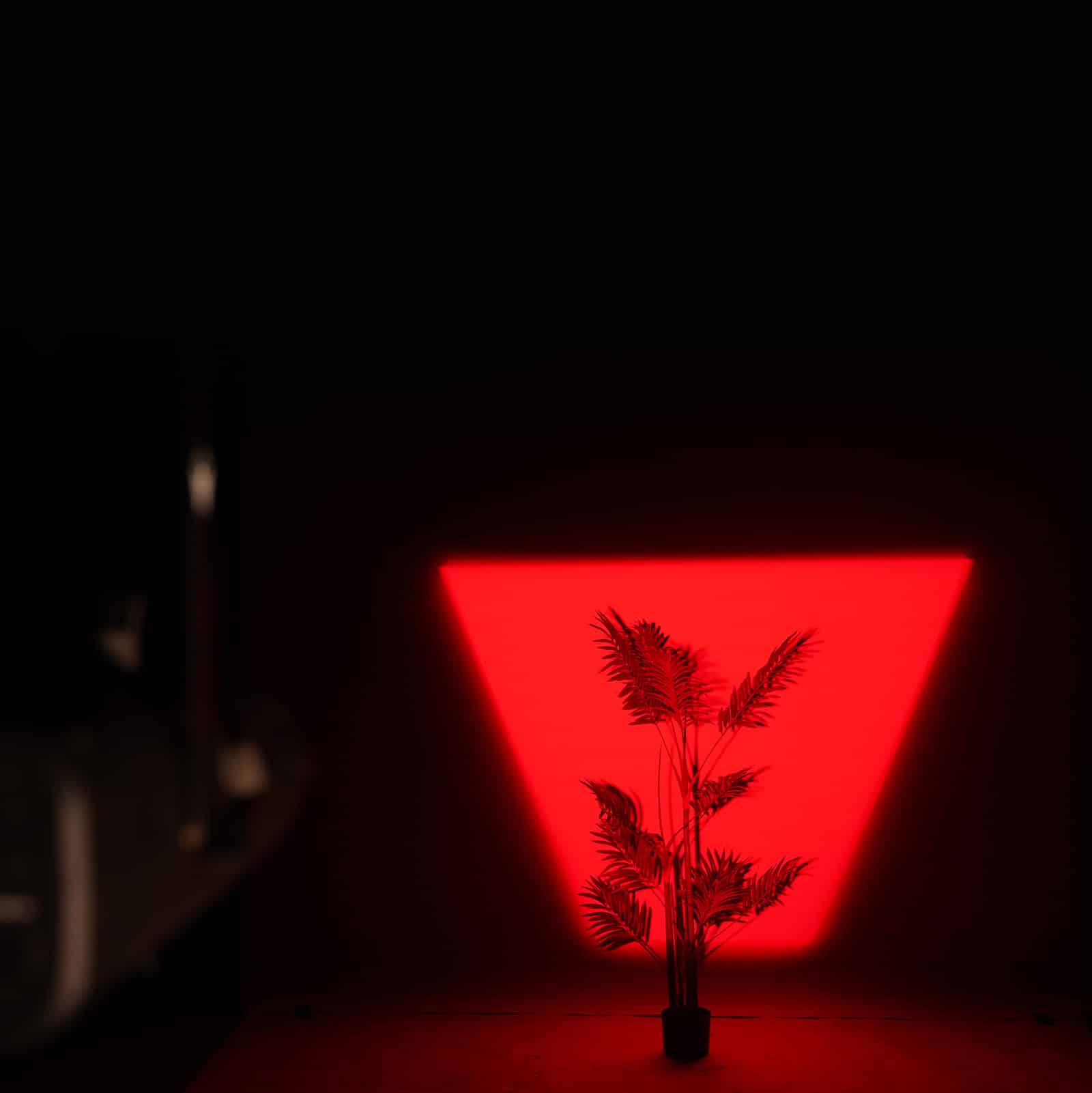 Neo Elipsoled Color MID - Imagen 9