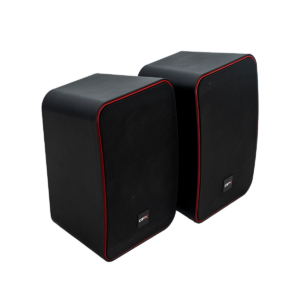 Bafle instalación DFX Sound AMB6-B