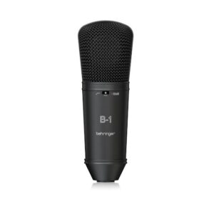 Behringer B1 Dark Edition