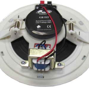 PARL.GBR 6" 80W 100V BLANCO PAR