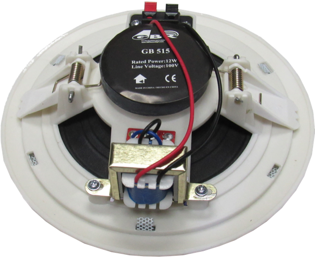 PARL.GBR 6" 80W 100V BLANCO PAR